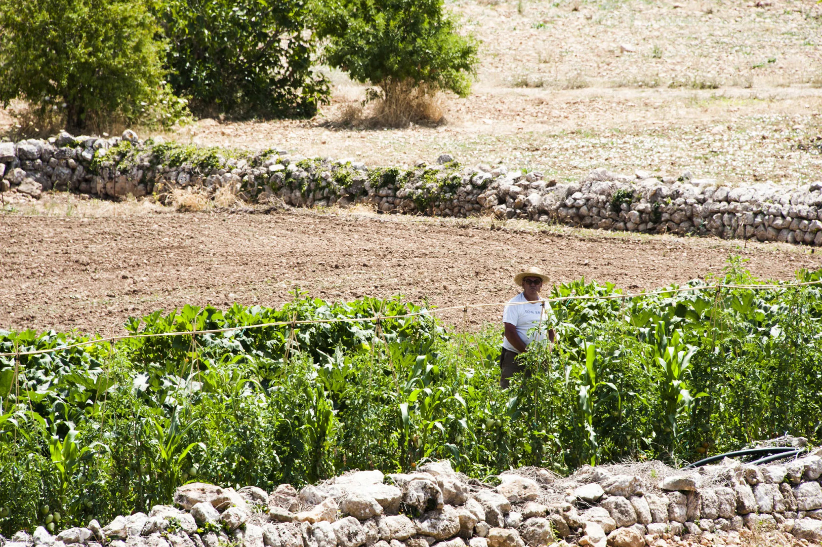 Son Brull Hotel & Spa