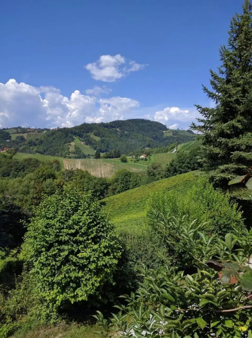 Pfarrerweinzerl