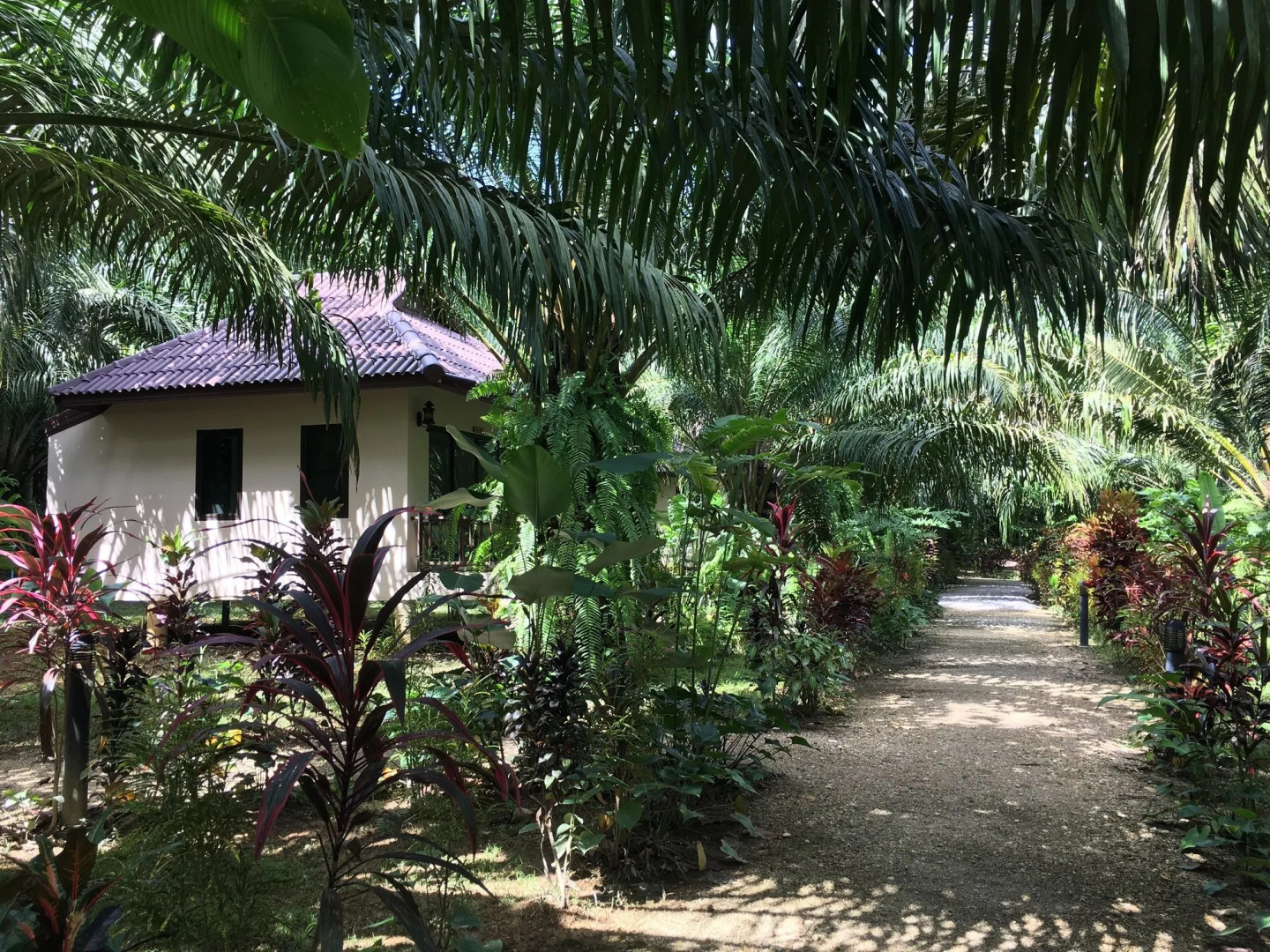 Khao Sok Palm Garden Resort
