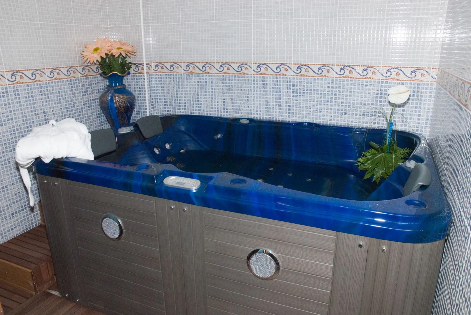 Hotel Avenida de España