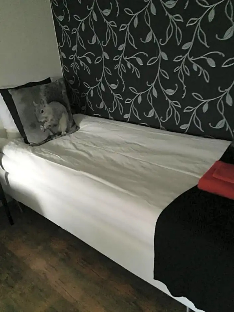 Norrgården i Sandviken