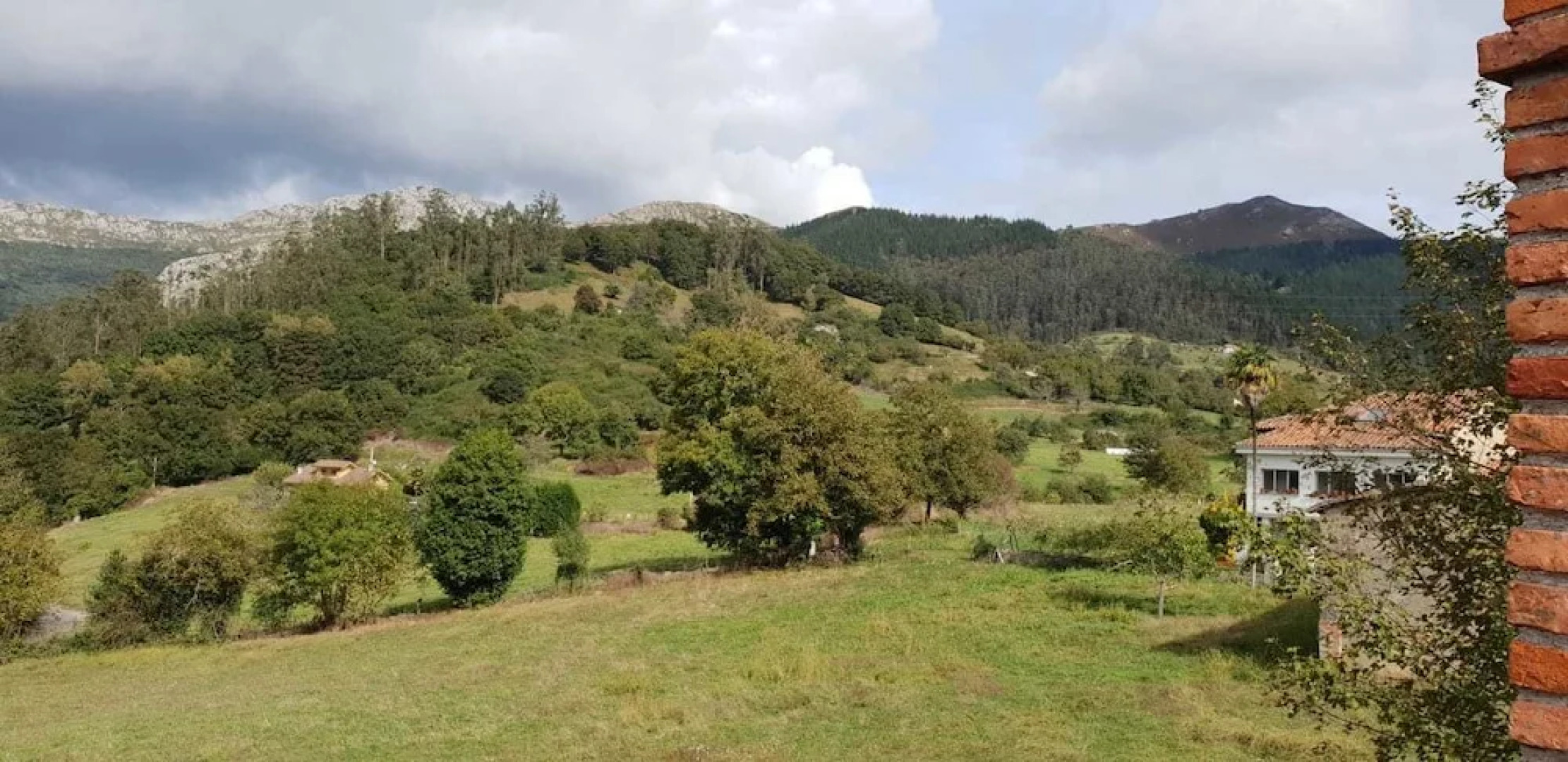 El Búho de la Remolina