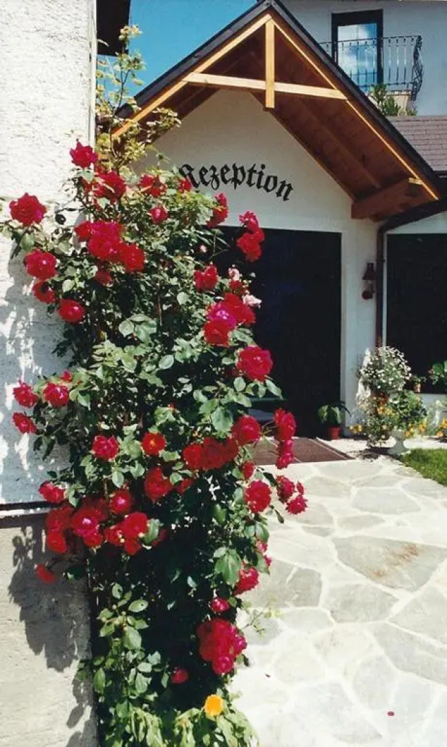 Hotel Pension Birkenhof