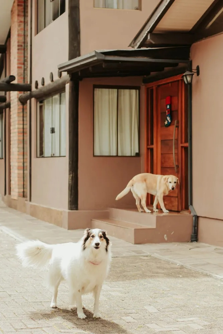 Pousada das Araucárias