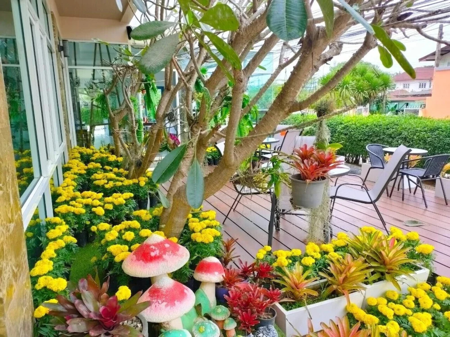 The Bliss Loei Living