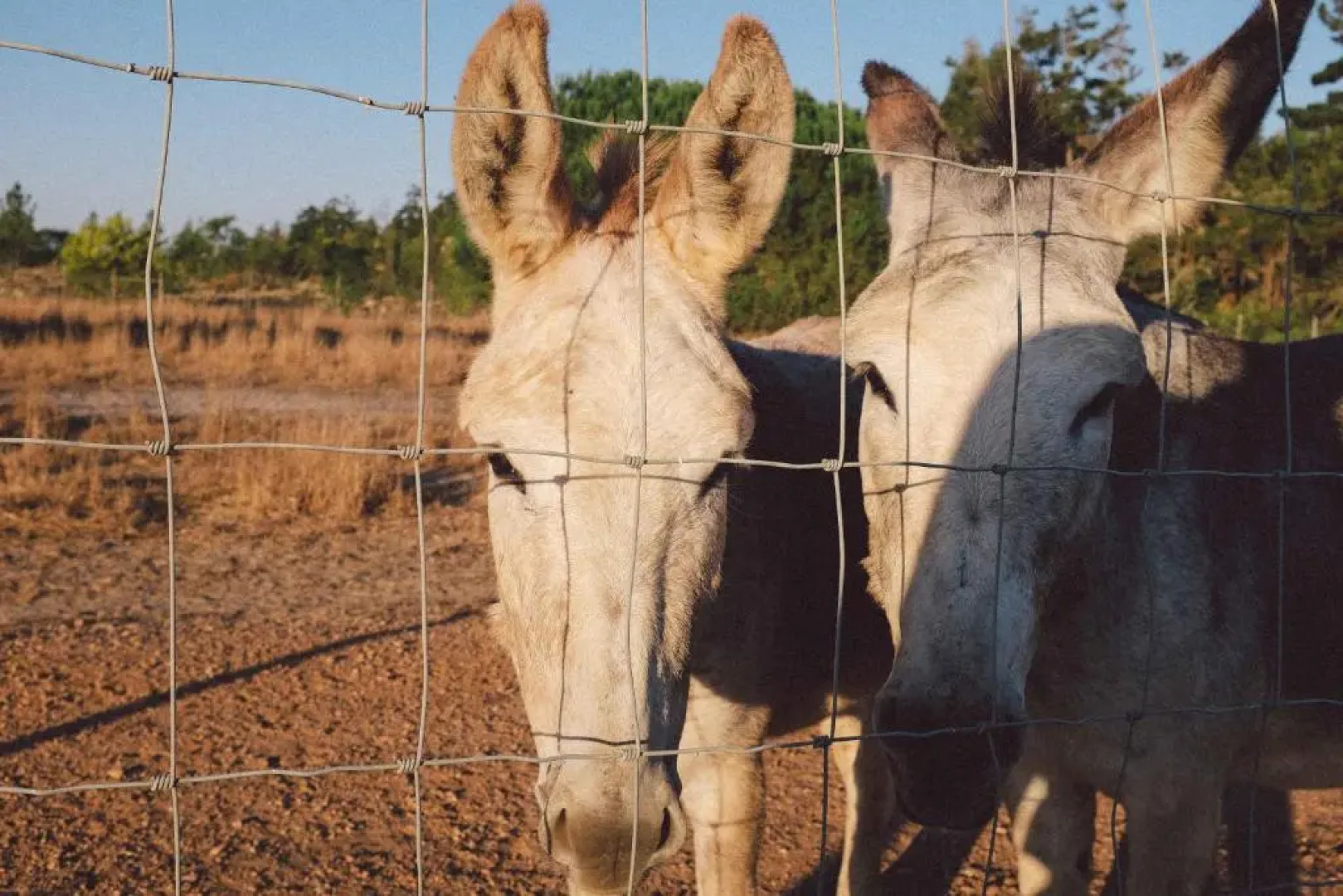 Romantic riverside retreat