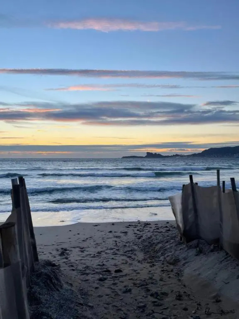 "Les Palmiers" Studio spacieux vue mer Terrasse & Parking