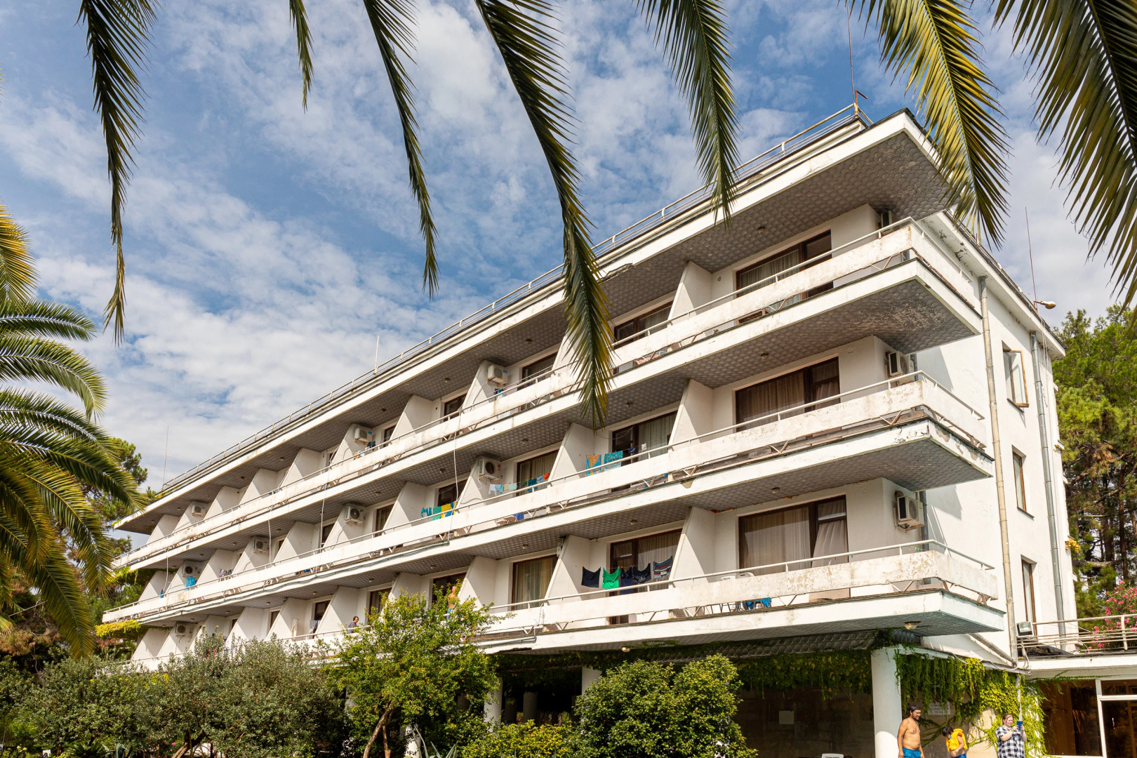 Сосновая роща (Пицунда)