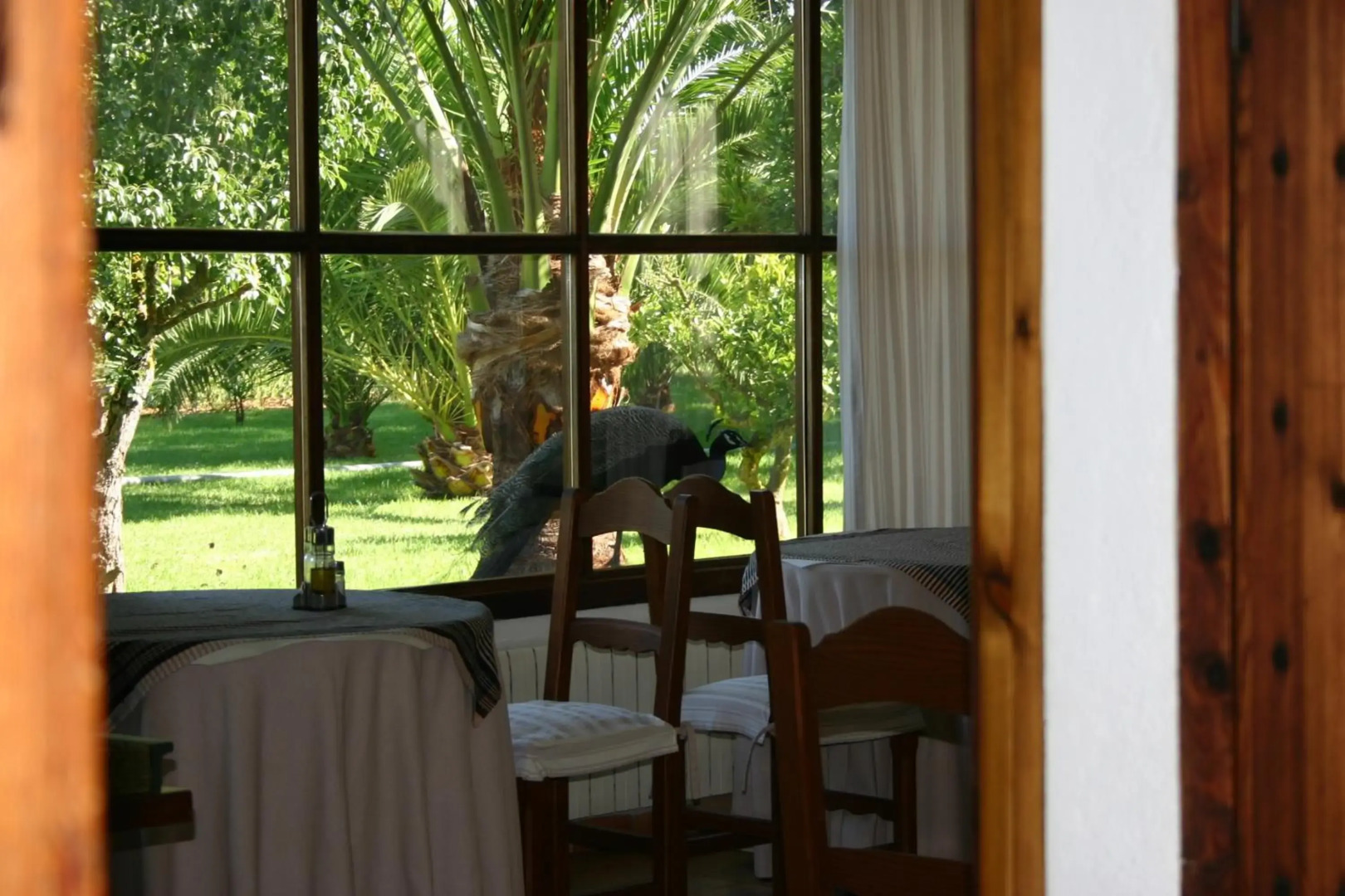 Petit Hotel Es Figueral