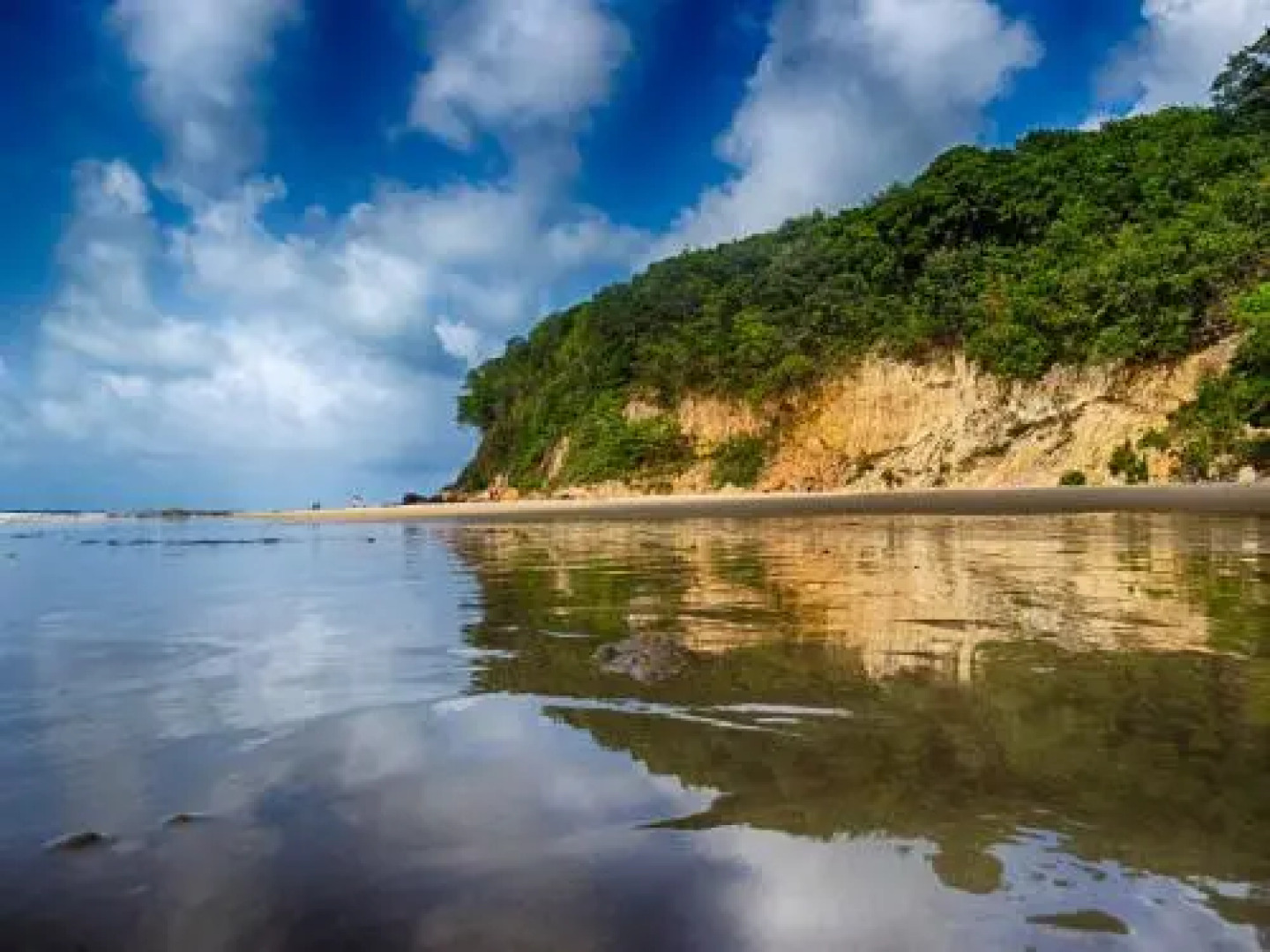 Pipa Hills Casa Tulipa