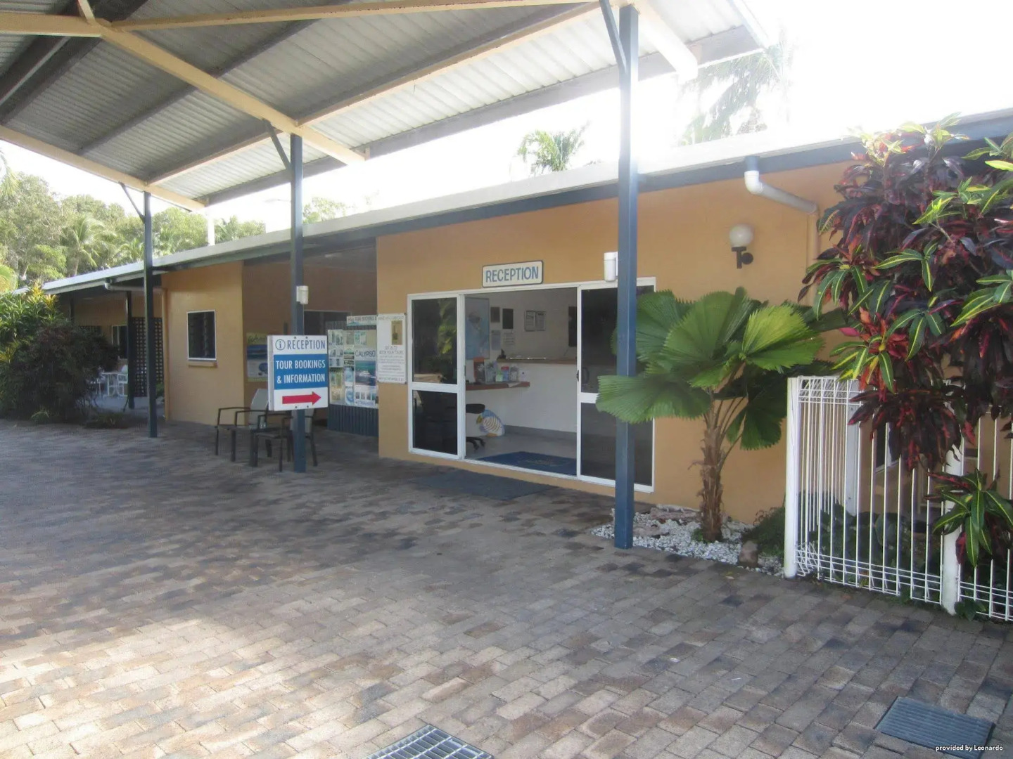 Lazy Lizard Motor Inn