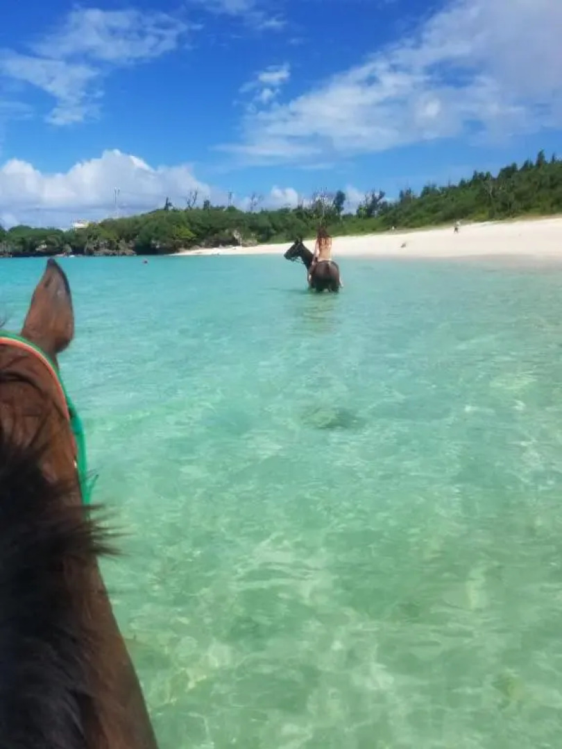 Muwmin Farm - Hostel