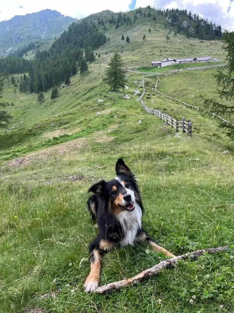 Appartamento a Spinazzeda cuore di Cles