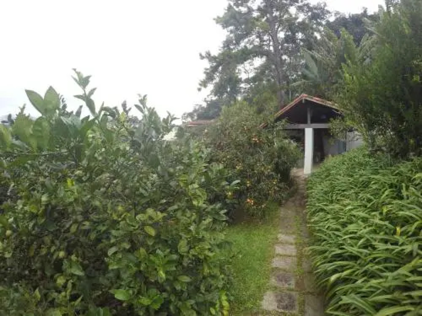 Casa Teresópolis