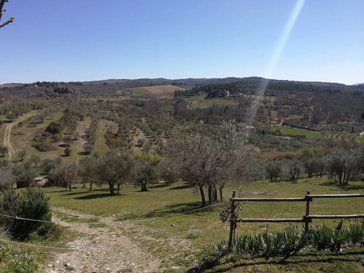 Dolce Cuore Luxe Apartment