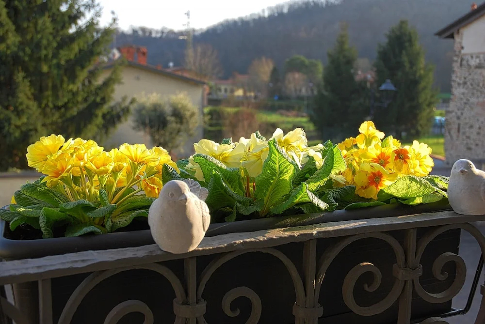 B&B Palazzo Contessa