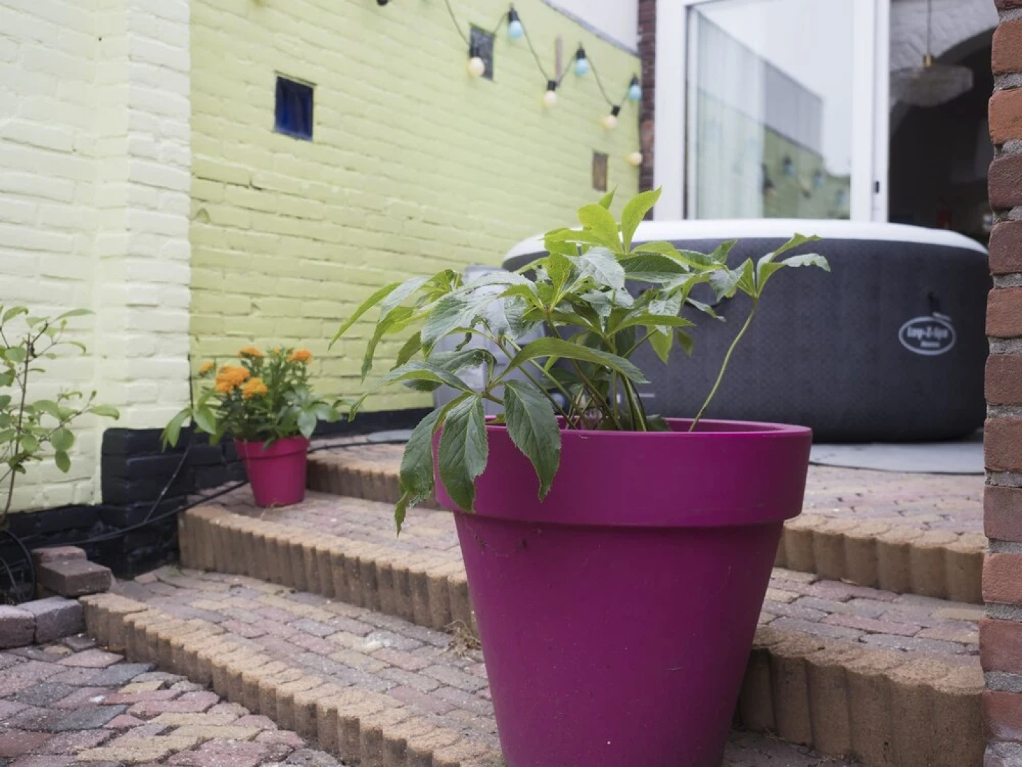 Charming 2 People House in Castricum Center