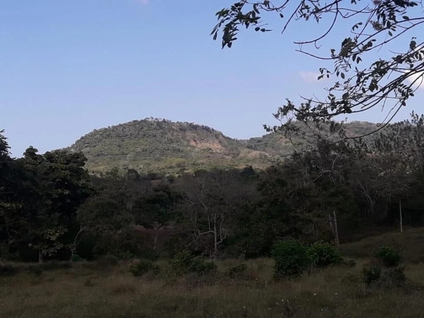 Urantia Beach Hostel & Camping