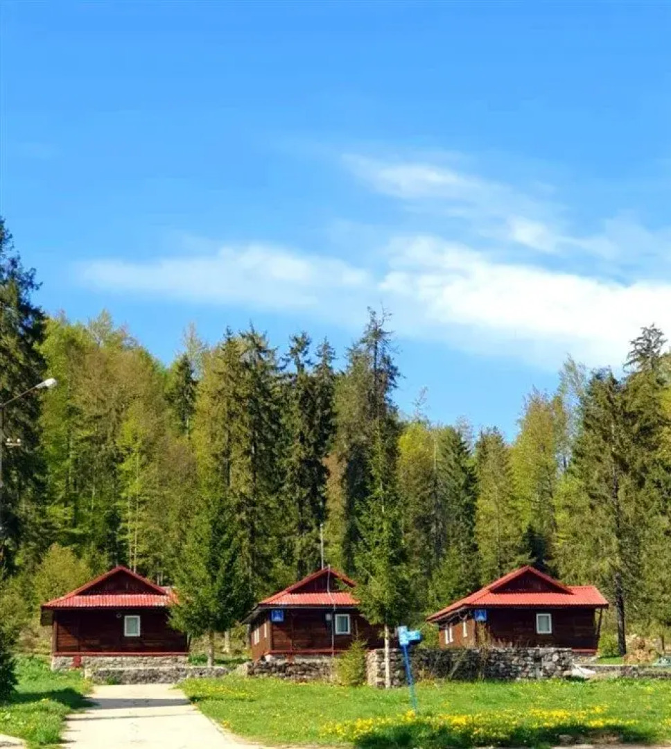 Vila Izvorul Minunilor