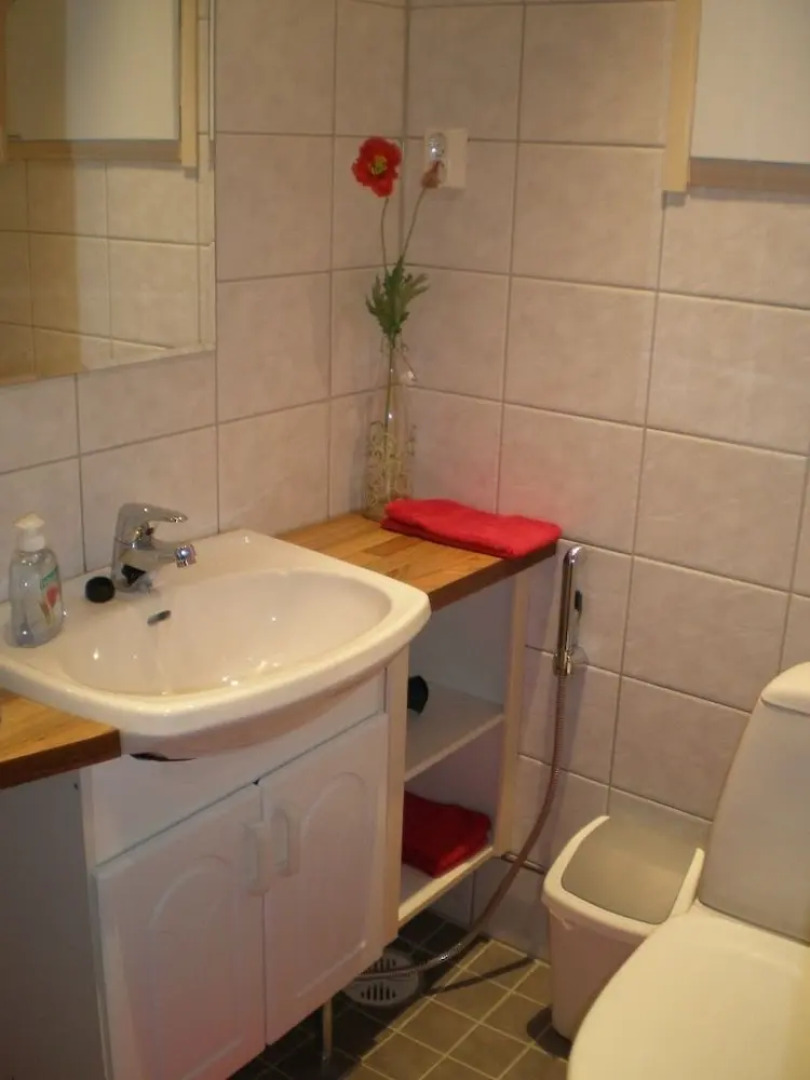 Wilderness chalet Kuusamo