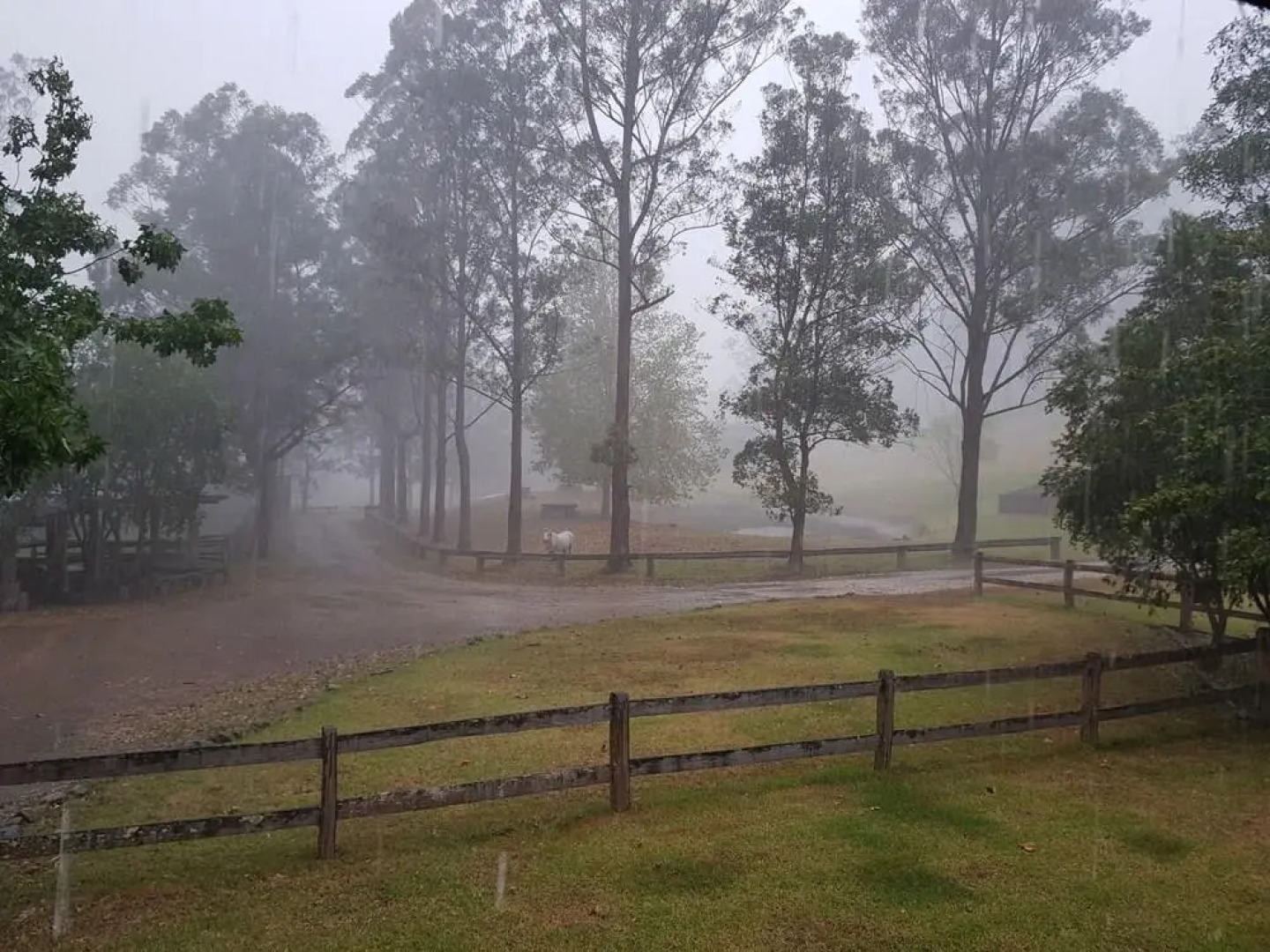 The Tops Organic Retreat