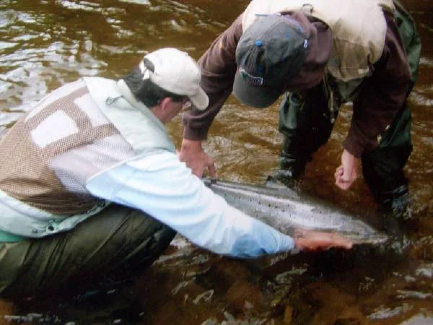 Auberge du Saumonier Lodge