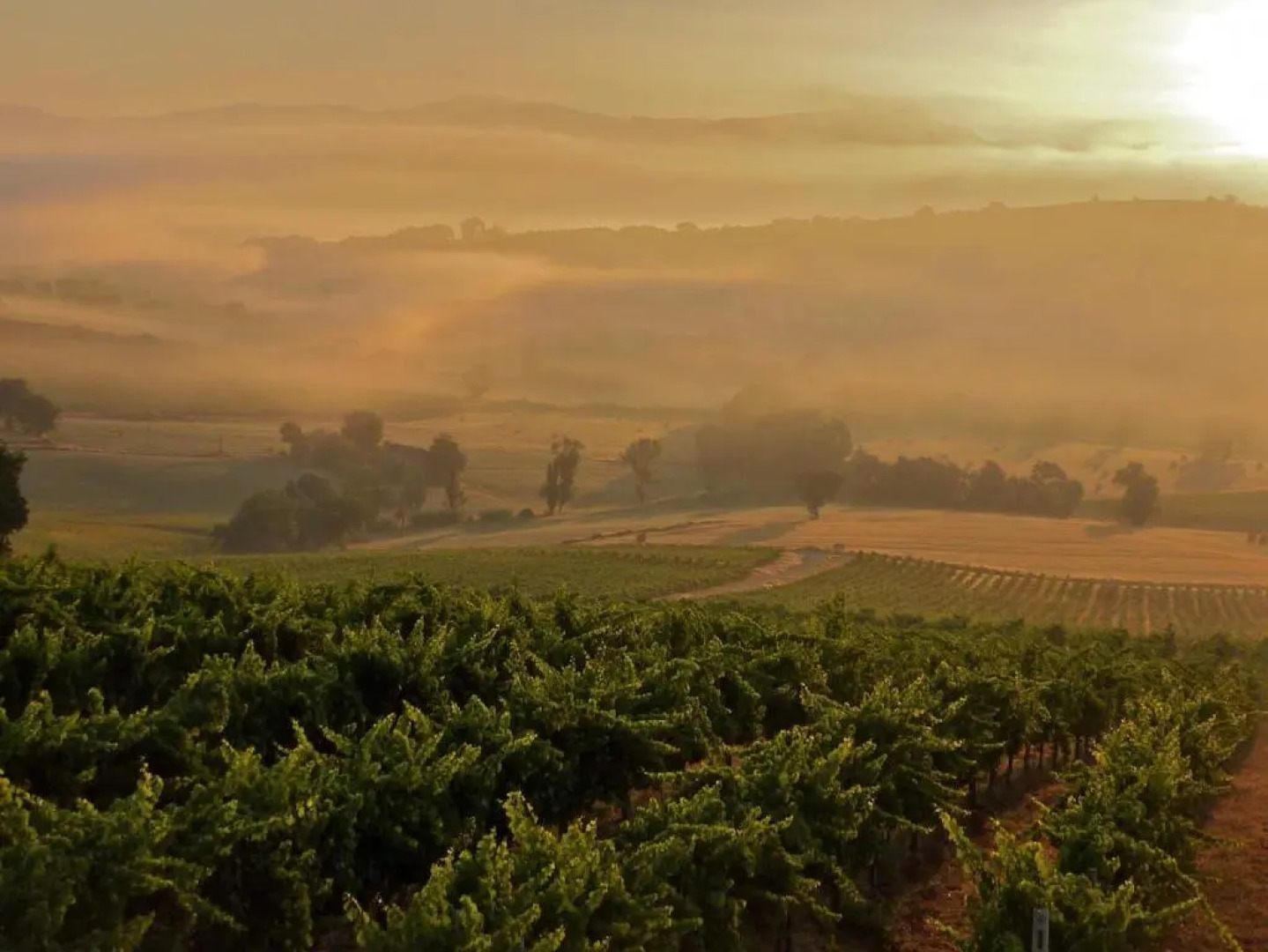 Genius Loci Country Inn