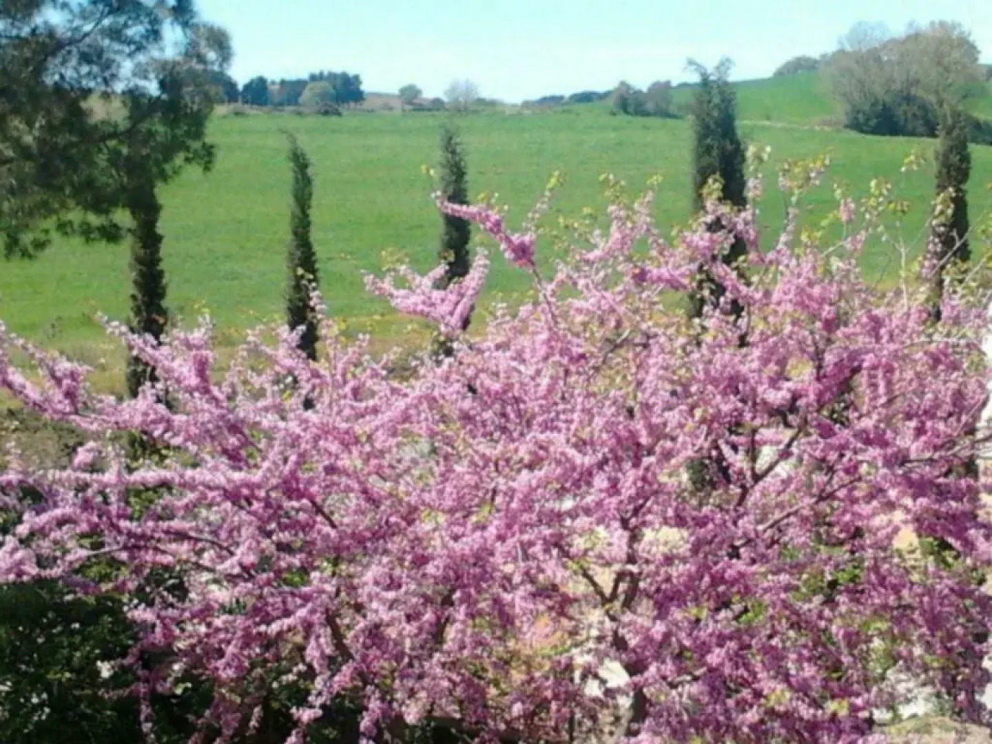 Agriturismo Boschetto di Montiano