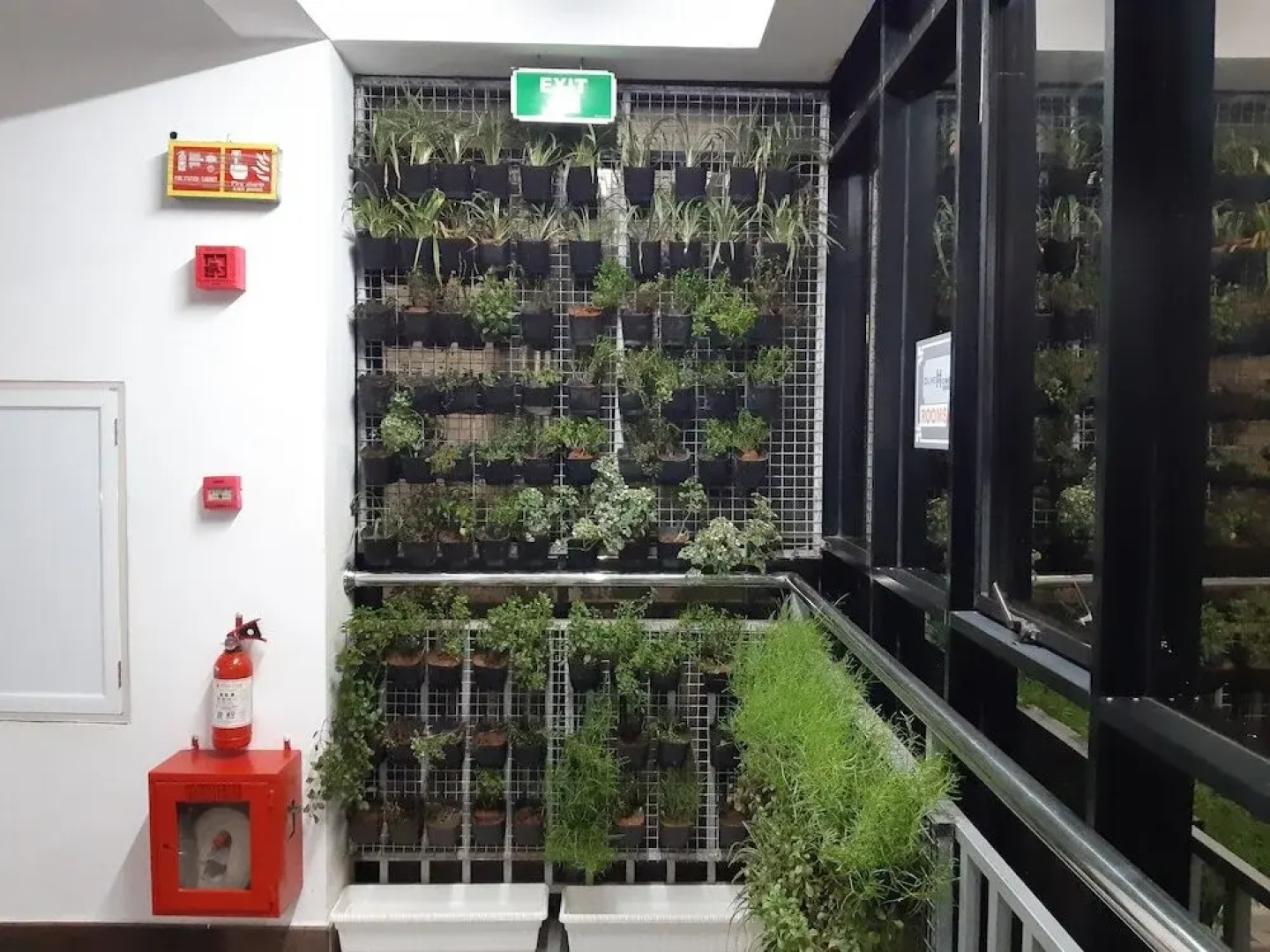 Olive Homes Residency