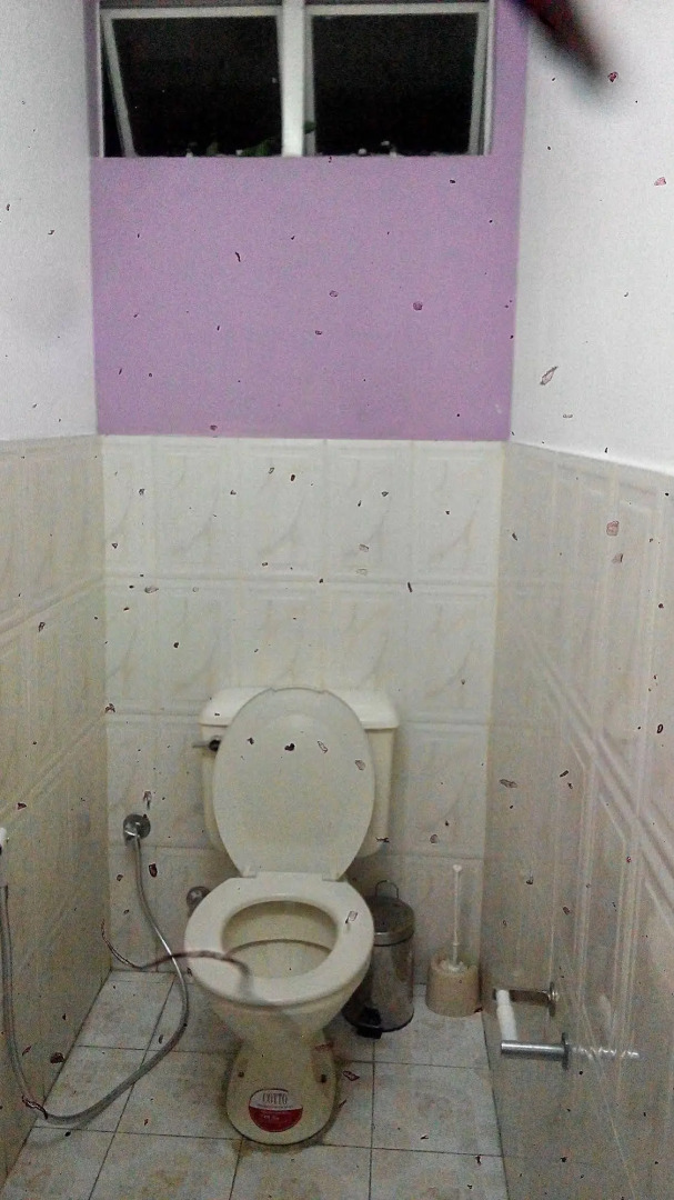 Residence Les Bambous