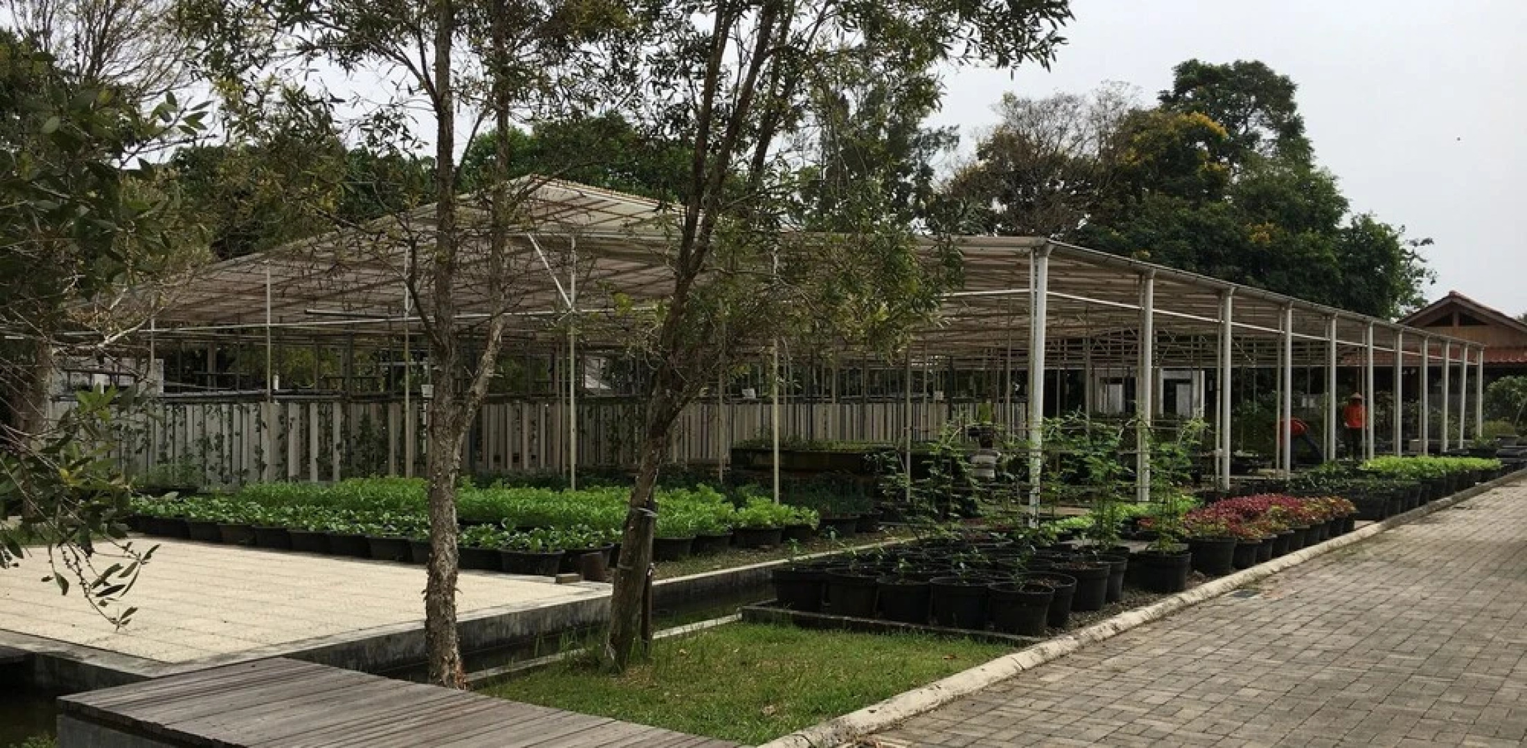 Helinium Homestay Bogor