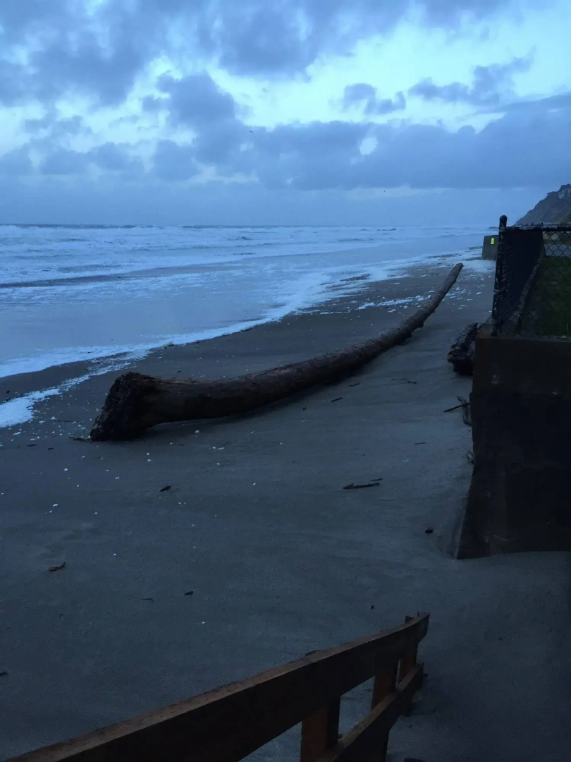 The Sandcastle Beachfront Hotel