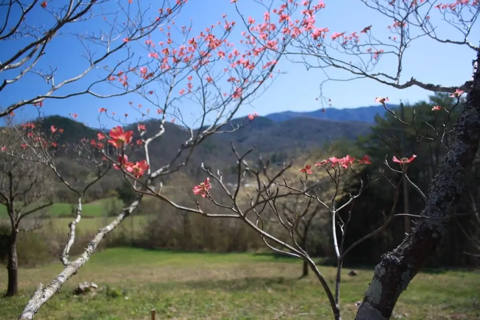 Peace Of Paradise 2 Bedroom Home by RedAwning