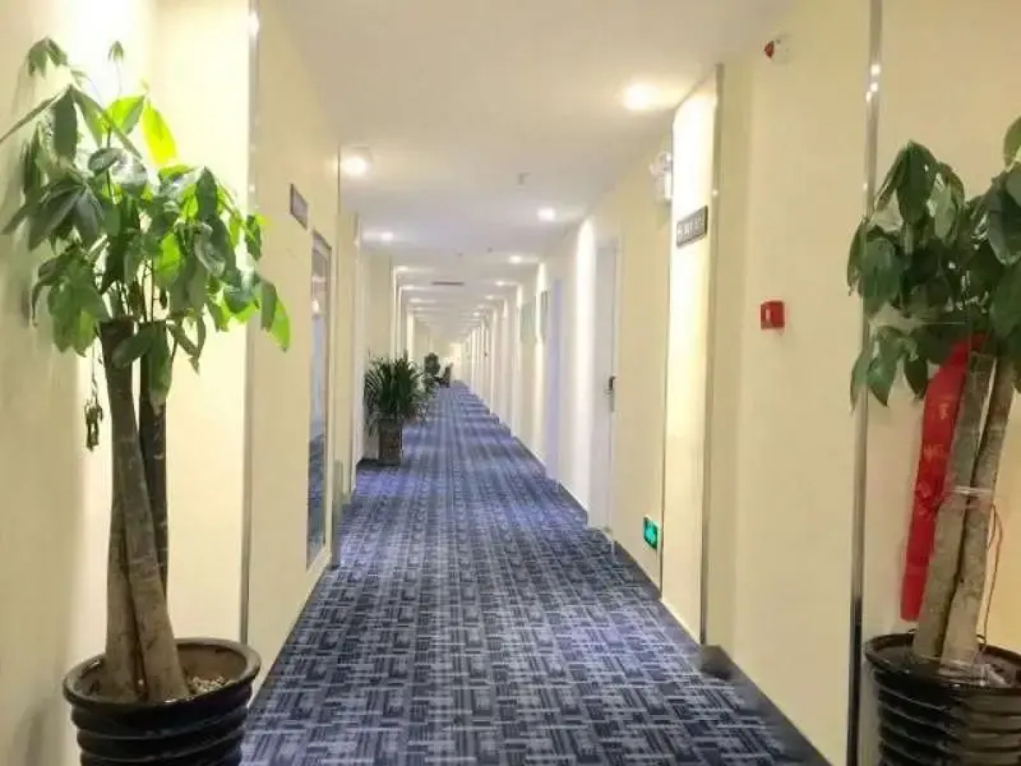 7 Days Inn Ying Shang Lan Xing Jian Cai Market Branch