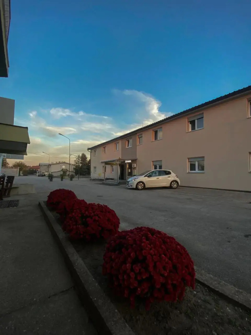 Plavi restoran, Loznica