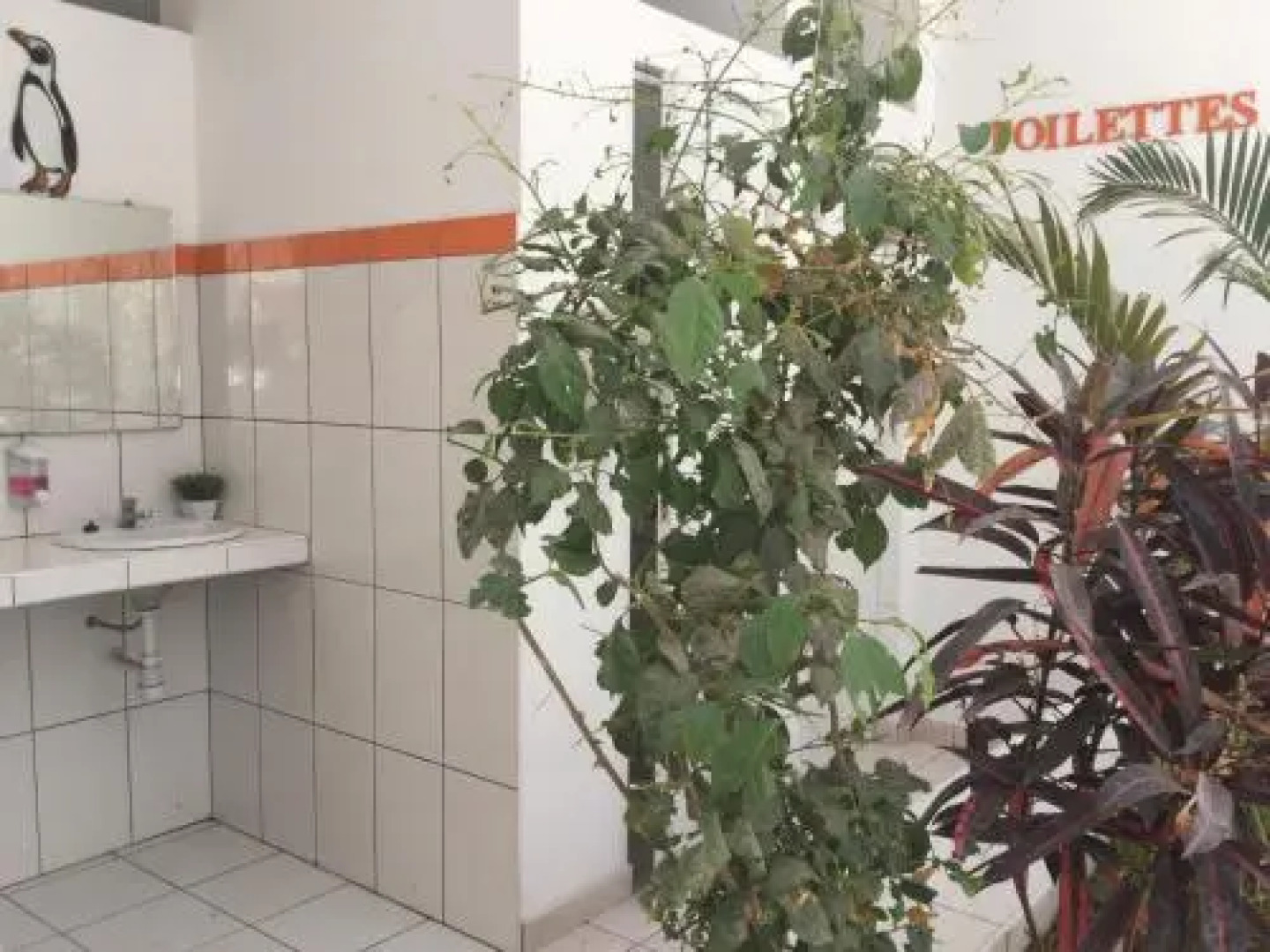 Paracas Backpackers House