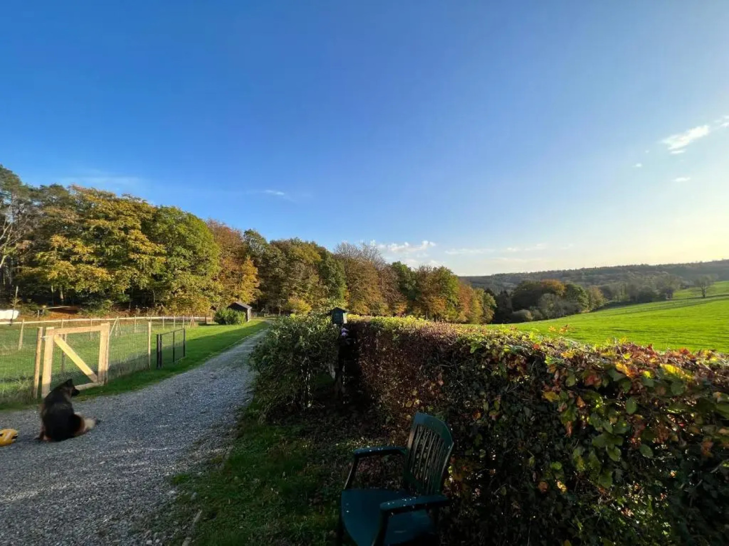 A L’Oree du Bois…