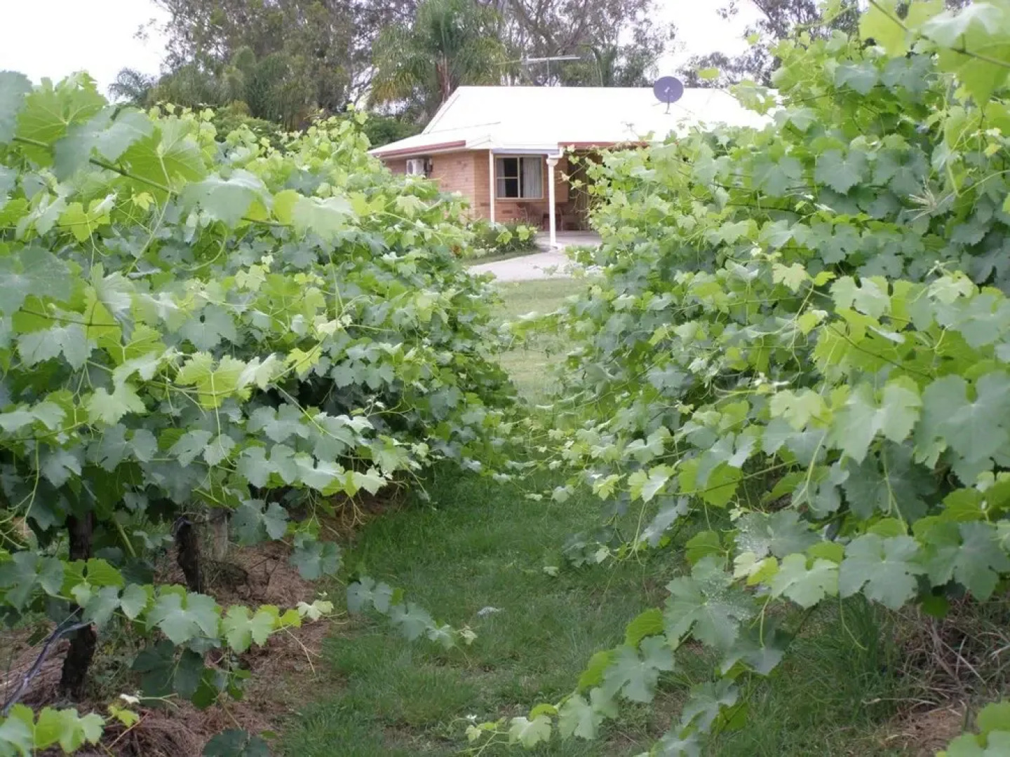 Copper Country Motor Inn & Restaurant