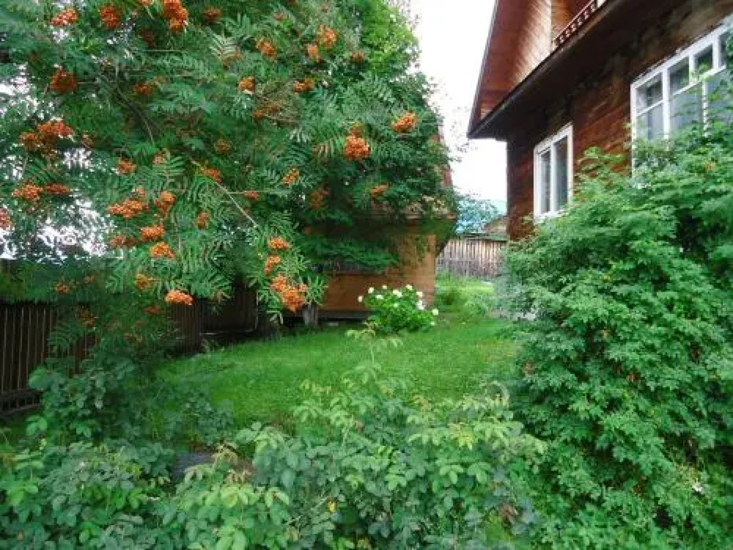 Usad'ba u Diadi Vani