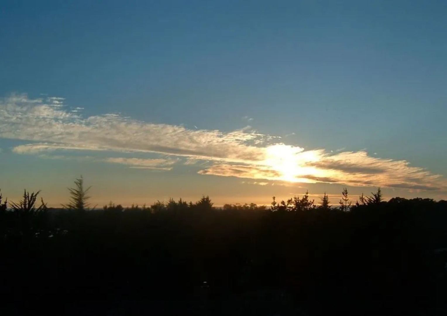 Bay Hill Mansion B and B