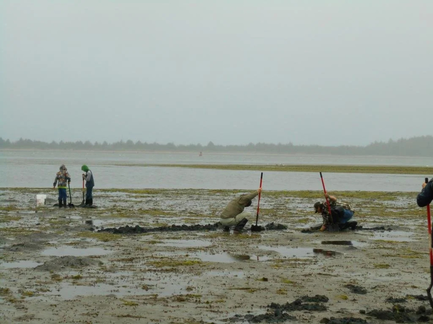 Plainview Motel & RV Park