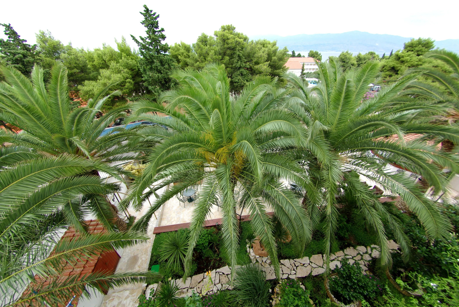 Hotel Villa Adriatica - Adults only