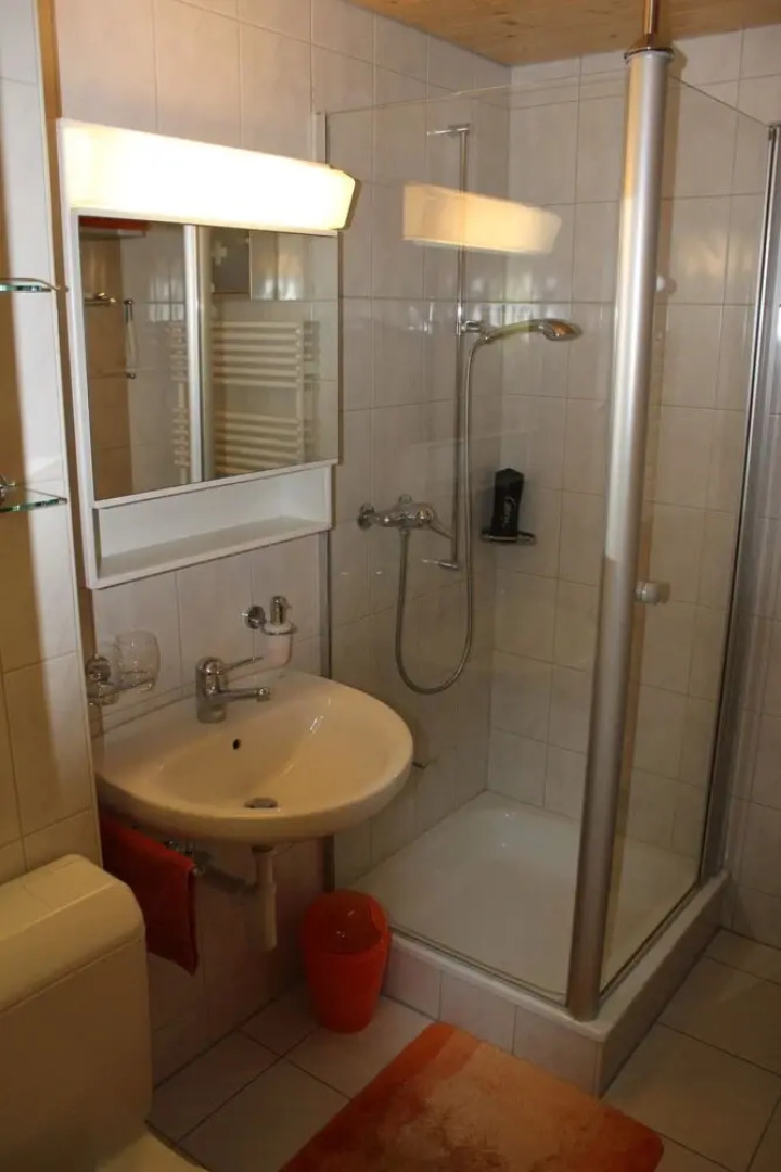 Rott li OG Lenk in Lenk