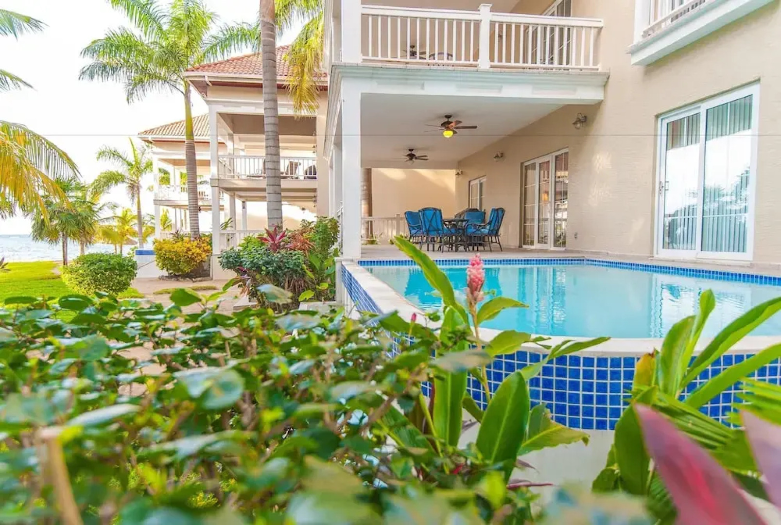 Lawson Rock Parrotfish 106