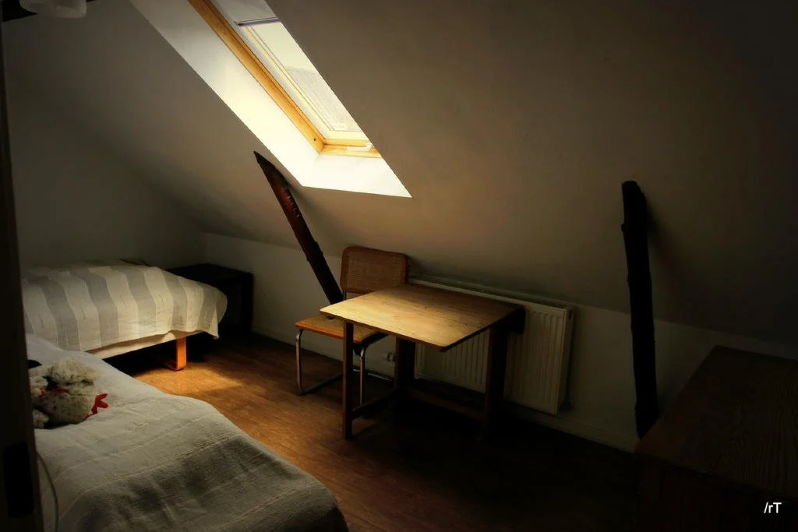 Stutteri Skandi Hest