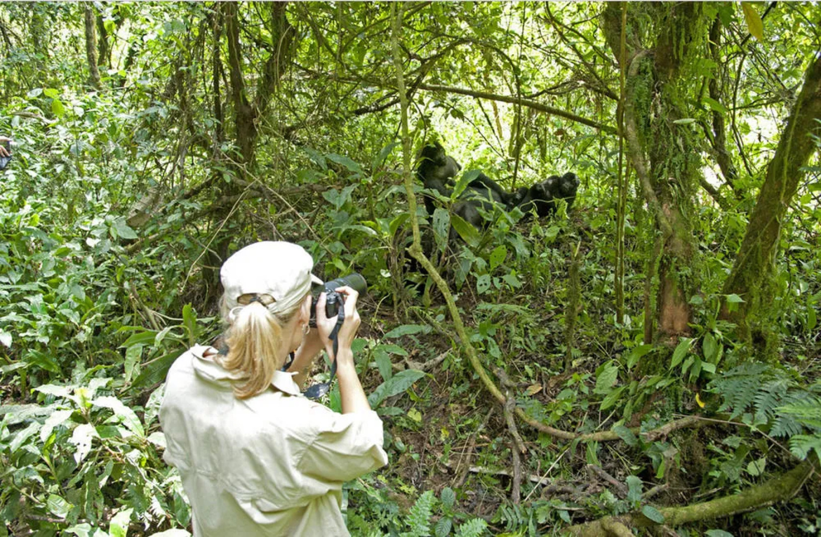 Sanctuary Gorilla Forest Camp