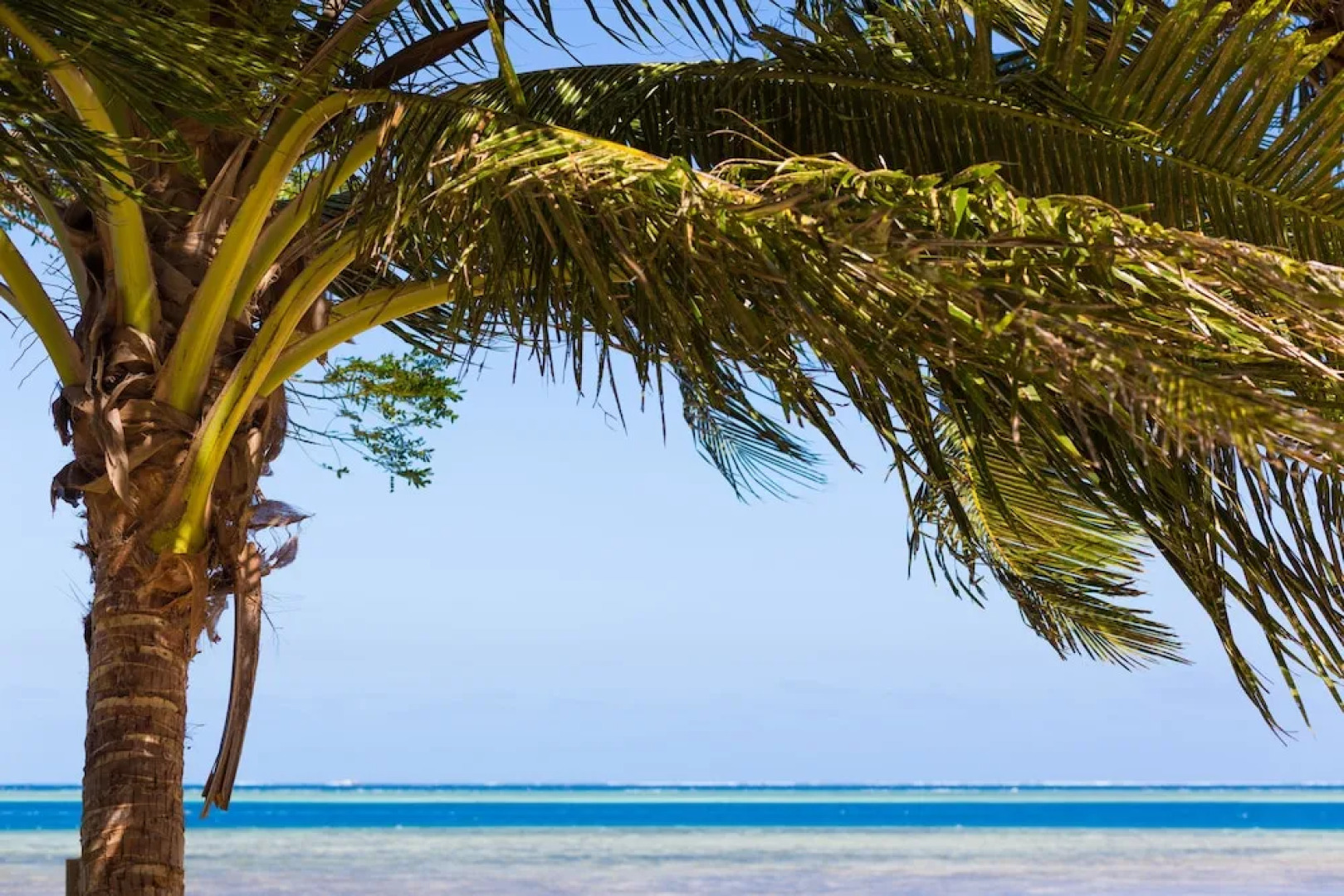 Funky Fish Beach & Surf Resort - Hostel