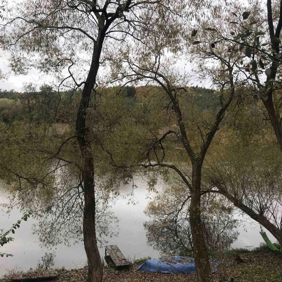 Sazava River Cottage With Boating Experience