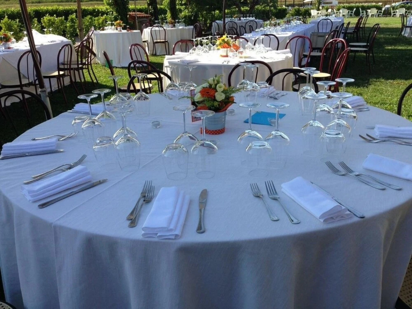 Conte Pietro Ferrara