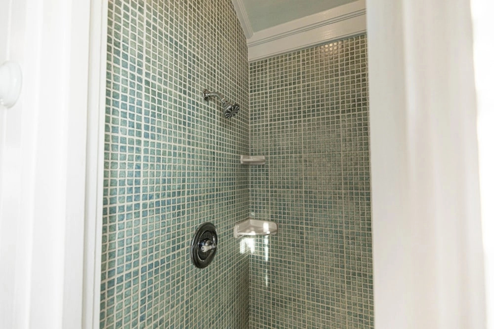 At Home in the Tropics